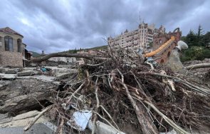 собственици елените спешно почистване епидемия инфекции заплашват курорта