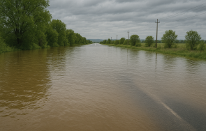 внимание шофьори сигнал завиряване пасарел панчарево
