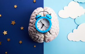 изненадващи обрати оспорвана надпревара изборите нидерландия