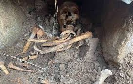 проверяват кости нелегална кланица нова загора