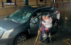 порой йорк жертви отменени полети видео