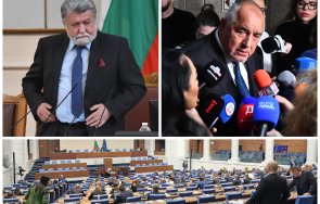 вежди рашидов хвърли ступор водеща скърца столът разказа култова история борисов бити мечки старо кадифе видео