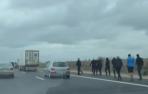 хаос хемус разхождат мъже бухалки