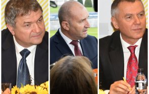 горещ слух бобокови финансират радевата партия шкодата