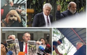 човекът групировките бойко рашков илия павлов божков контрабандиста стефан лихваря мухарем мухата