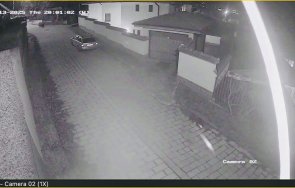 мечка тръгна улиците карлово балкана видео