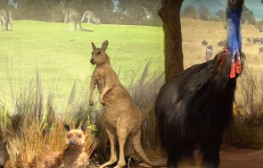 откриха зоокафе природонаучния музей пловдив