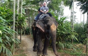 Travellove – мястото, където започват най-невероятните човешки истории