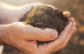 последни седмици изгодна продажба земя