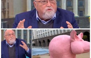 александър йорданов срази ппдб демокрация простащината розовият цвят прасето касичка виждам флаговете гей парадите брюксел