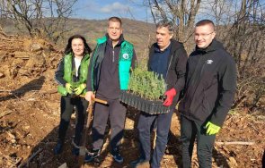 нова гора ново начало супер инициатива стара загора засадиха хил дръвчета мястото опожарена гора