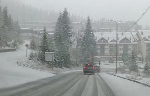 пампорово побеля снежната покривка