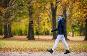 крачки ден необходими действителност