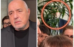 хванати крачка обвиниха ппдб воайорство крият фикуса дебнат видео