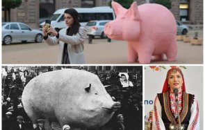 айде лево неокомунета левичари боташ аристи действие