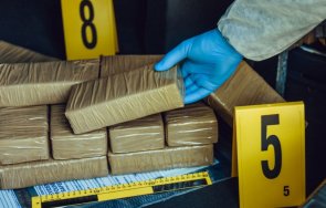 митничари капъкуле заловиха пратка скънк влизане българия