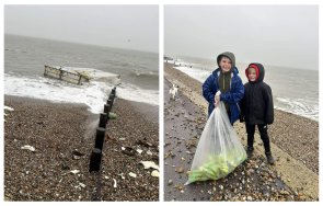 морето изхвърли тонове банани съсекс