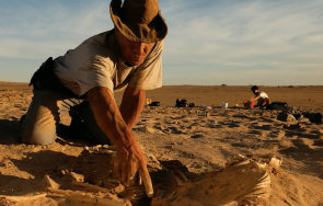 откриха следи неизвестна досега човешка популация