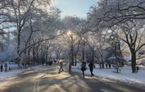 първи сняг зарадва жителите йорк