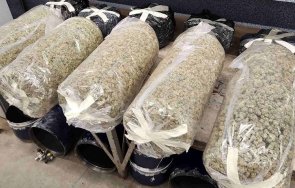 марихуана газови бутилки откриха митничарите търново снимки