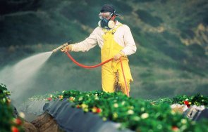 храните пестициди нас често произход турция италия