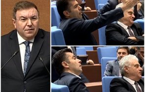 хитовете пик ппдб намериха майстора острие герб мачка цяла година видео