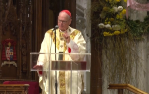 папата смени кардинала йорк тимоти долан