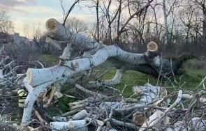 бурният вятър пловдив сигнала щети пострадали автомобили