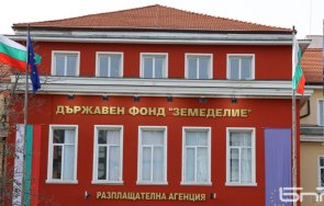 информационните системи дфз недостъпни граждани януари