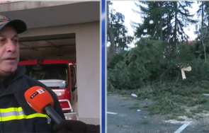 косъм трагедия предела дърво падна движещ автомобил семейство чехия