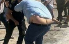 иво божо гроба тюркян върхът лицемерието дъното