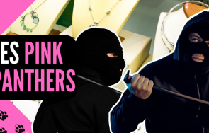 арестуваха българия член сръбските дръзки обирджии розовите пантери