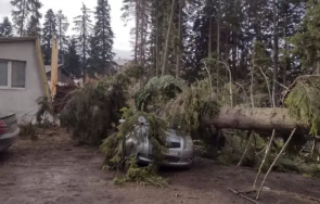 заради ураганен вятър задействаха системата alert боровец