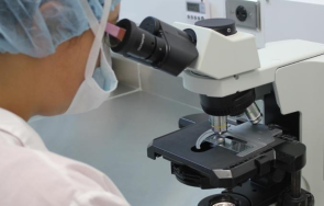 пробив учени откриха спрат повторната поява рак