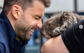 григор трогна австралия страхотен кадър снимка