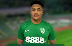 берое обяви едно ново попълнение