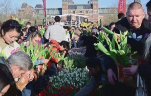 200 хиляди лалета дадоха старт сезона нидерландия