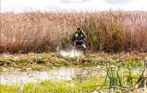драгоманското блато отбелязват деня влажните зони