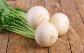 бялата ряпа подценяван зеленчук доказани ползи здравето