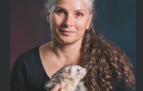 нечовешка жестокост петя алтимирска изродите царевец 149 изтезаваните животни видеата