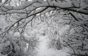 meteo balkans страховито предупреждение обстановката влошава очаква снежна покривка заледявания