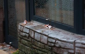 разбити яйца входната врата столичния кабинет скритата камера