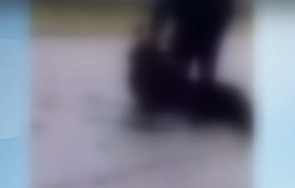 смущаващо видео врачанско жесток побой момиче сниман пуснат социалните мрежи