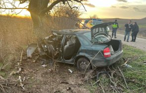 удар крайпътно дърво шумен шофьорът бере душа