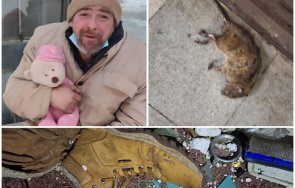разтърсващата история един наръфан плъхове софийски бездомник снимки