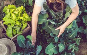 земеделските работници сред нископлатените