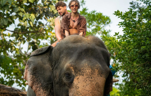 ражда голямата любов ергенът