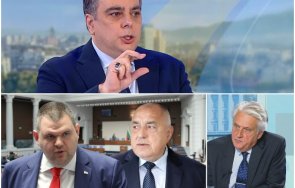 голямата баданарка кокорчо цъфна лъска имиджа ппдб заради сектата петрохан крива ракета герб дпс пречат