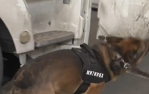 митническото куче крум надуши кокаин млн евро камион цветя