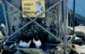 господарят мусала болен помогнем